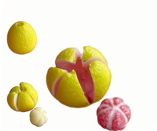 ミニチュアフード フェイクフルーツ 手作り