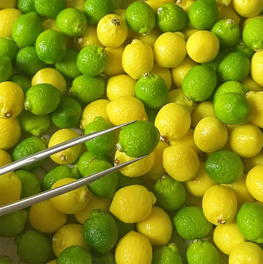 手作ミニチュア粘土食玩 ミニチュア レモン 粘土