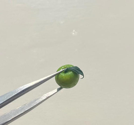 ミニチュアフード ミニチュア フルーツ