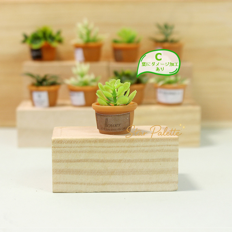 ミニ多肉植物 フェイクグリーン 盆栽 ミニチュア 観葉植物 ドールハウス