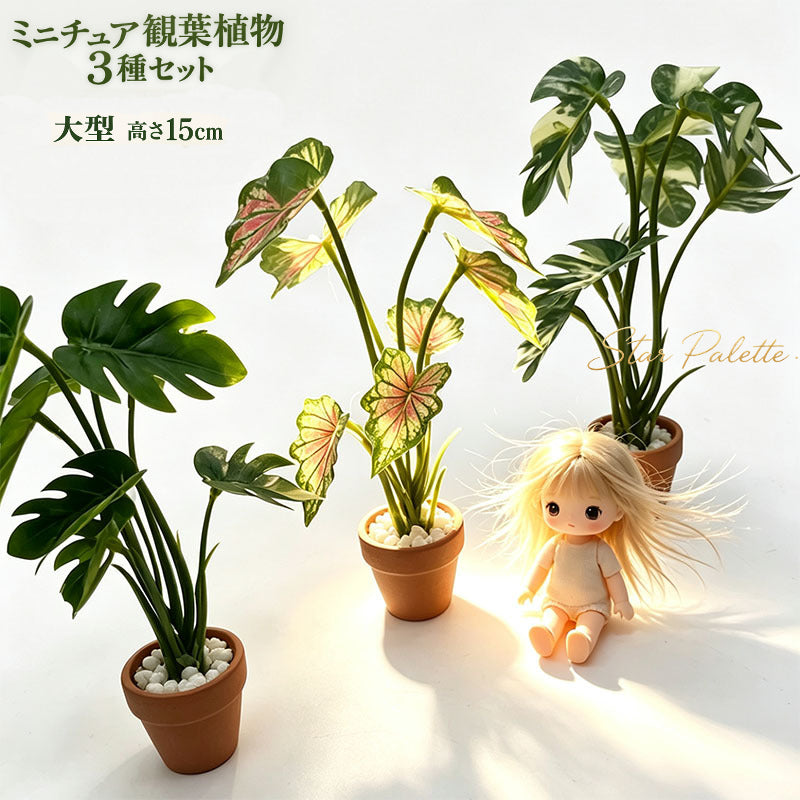 ミニチュア 観葉植物 鉢植え