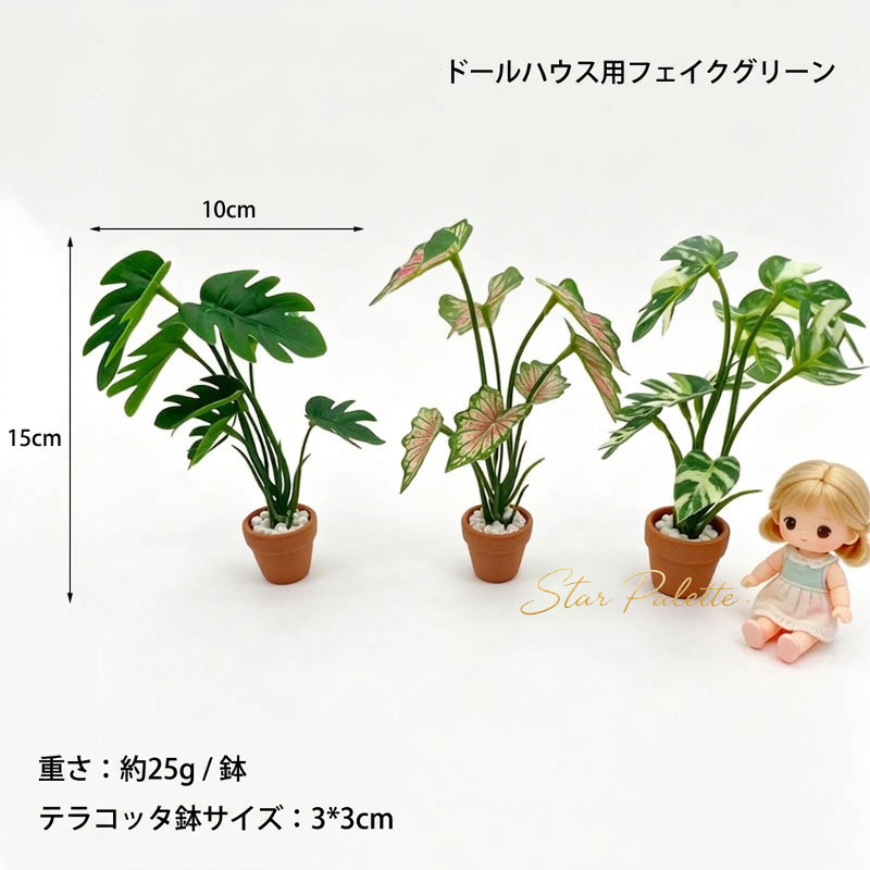 ミニチュア 観葉植物 鉢植え 大型