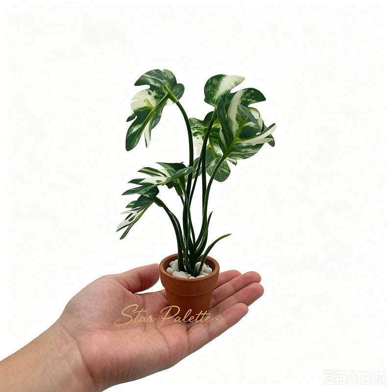 ミニチュア 観葉植物 鉢植え 大型 モンステラ 3種セット